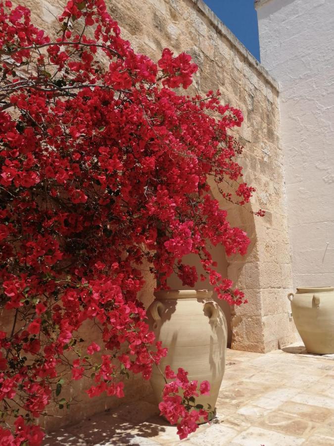 Masserie Maresca Ostuni Ngoại thất bức ảnh